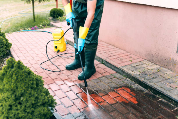 Best Roof Pressure Washing  in Lake In The Hls, IL